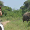 Kidepo Valley National Park