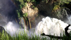 3 Days Murchison Falls safari