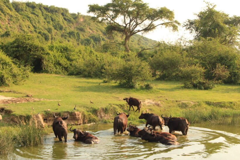 Semuliki National Park